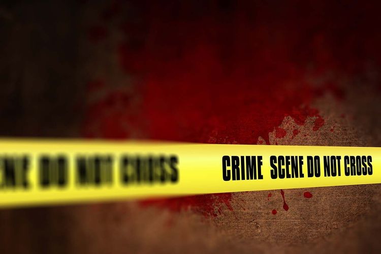 Bukan Dibunuh, Dua Petani Singkawang tewas di Kebun Alpukat Ternyata Tersengat Listrik 