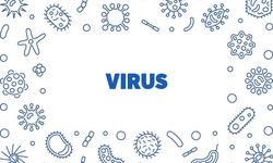 Apakah Virus Sudah Ada di Bumi Sebelum Sel?