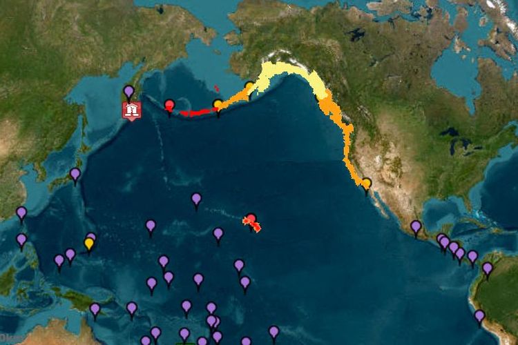 Menilik The Future I Saw, Manga yang Diklaim Memprediksi Gempa Rusia