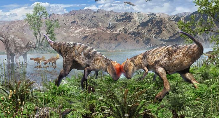 Zavacephale: Dinosaurus Kecil Berkepala Kubah Ditemukan di Mongolia