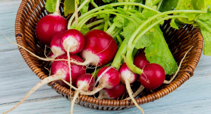  Plastik Masuk Jaringan Sayuran: Ancaman Baru bagi Keamanan Pangan