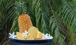 9 Makanan Khas Kota Prabumulih, Cocok untuk Kuliner hingga Oleh-oleh