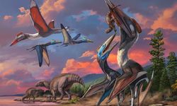 Dua Spesies Pterosaurus Baru Ditemukan di Gurun Gobi